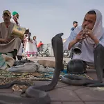 Merveilleuse Marrakech!
