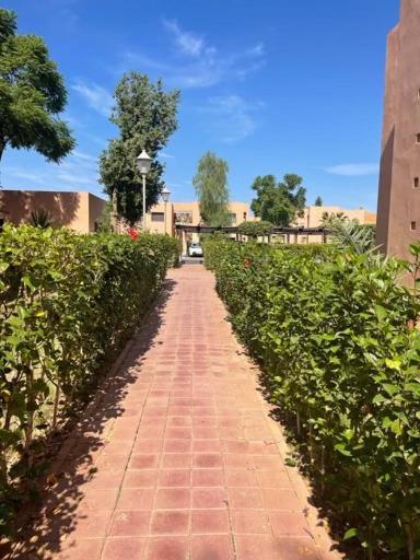 Merveilleuse Marrakech!
